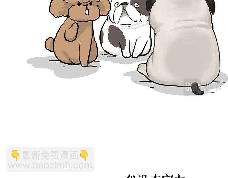 🍘吾皇巴扎黑 第365话 “神犬”巴扎黑 第33页