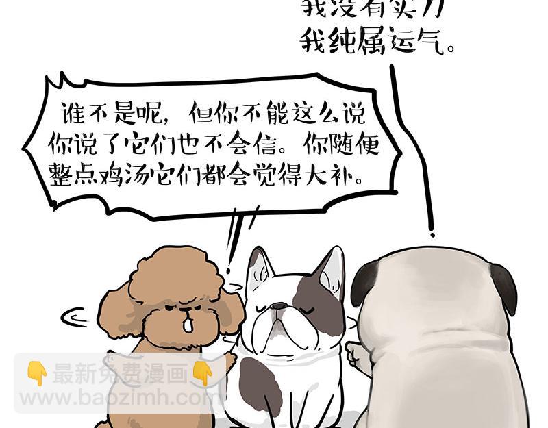 🍘吾皇巴扎黑 第365话 “神犬”巴扎黑 第34页