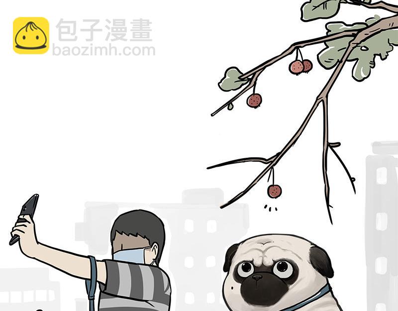 🍘吾皇巴扎黑 第365话 “神犬”巴扎黑 第4页