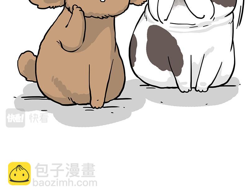🍘吾皇巴扎黑 第365话 “神犬”巴扎黑 第43页