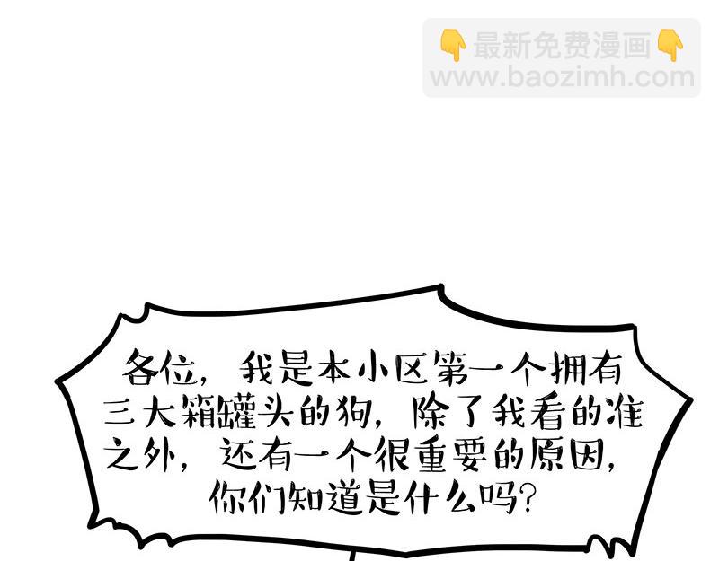 🍘吾皇巴扎黑 第365话 “神犬”巴扎黑 第44页