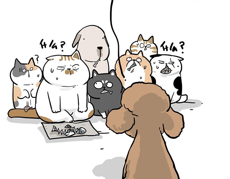 🍘吾皇巴扎黑 第365话 “神犬”巴扎黑 第45页