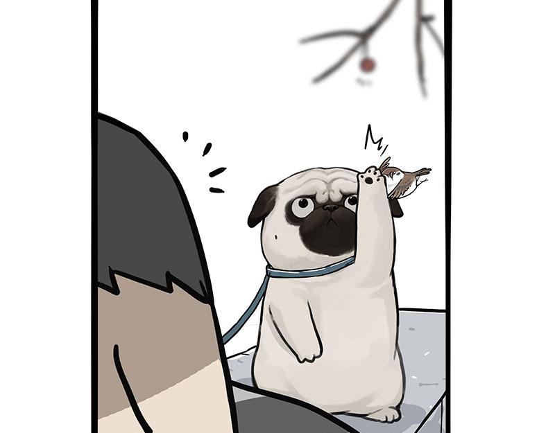 🍘吾皇巴扎黑 第365话 “神犬”巴扎黑 第9页