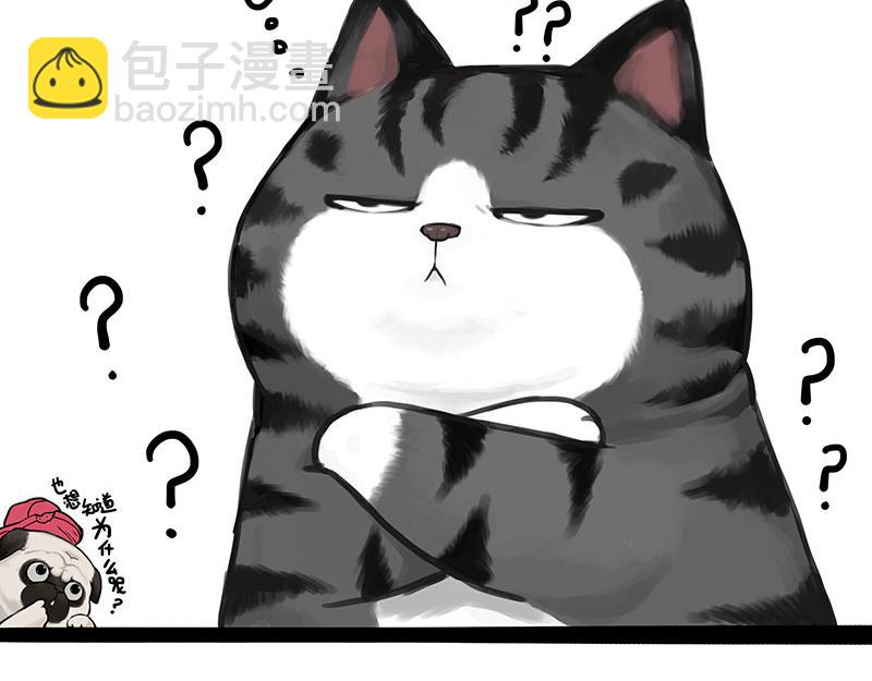 🍘吾皇巴扎黑 第369话 老天爷的答案 第16页
