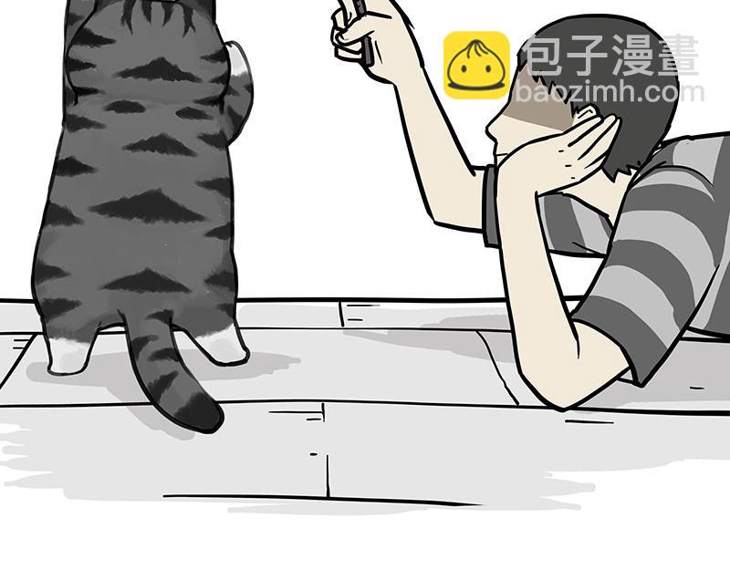 🍘吾皇巴扎黑 第369话 老天爷的答案 第2页