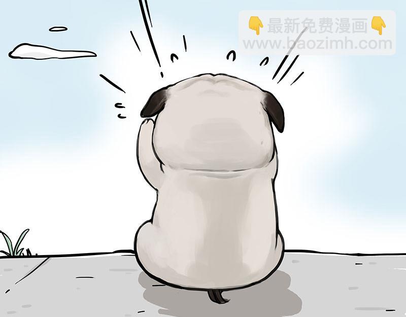 🍘吾皇巴扎黑 第369话 老天爷的答案 第34页