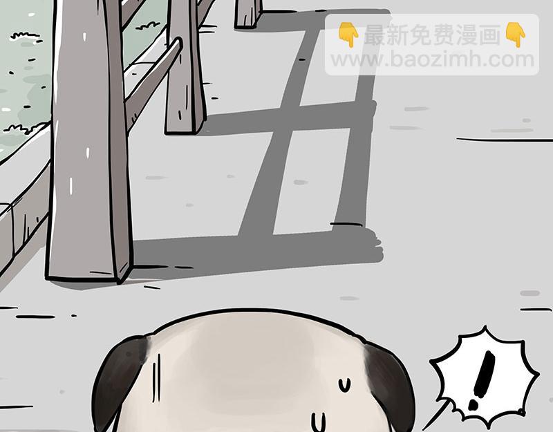 🍘吾皇巴扎黑 第369话 老天爷的答案 第38页