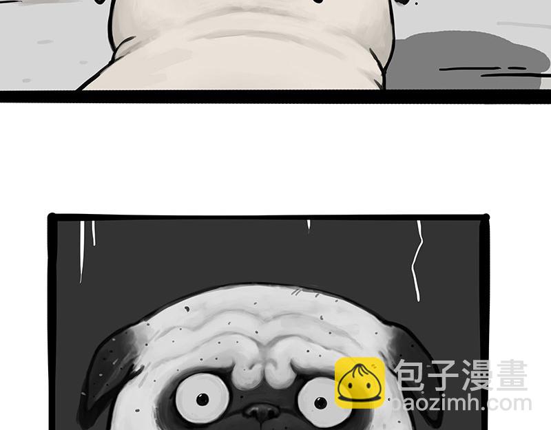 🍘吾皇巴扎黑 第369话 老天爷的答案 第39页