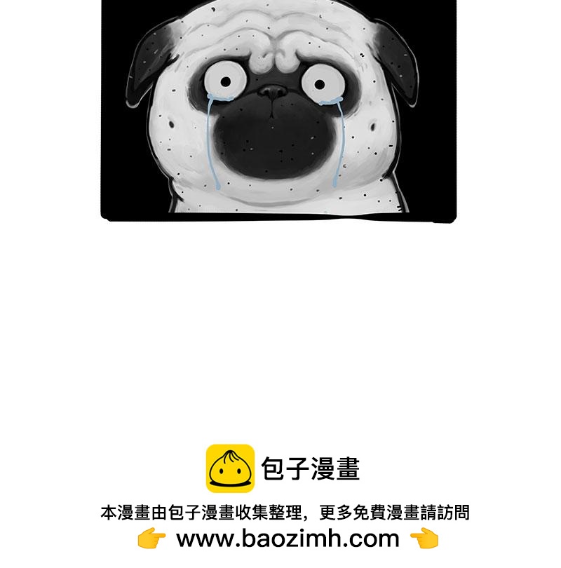 🍘吾皇巴扎黑 第369话 老天爷的答案 第41页