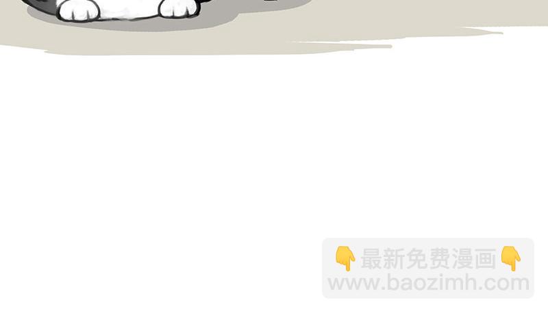 🍘吾皇巴扎黑 第369话 老天爷的答案 第5页