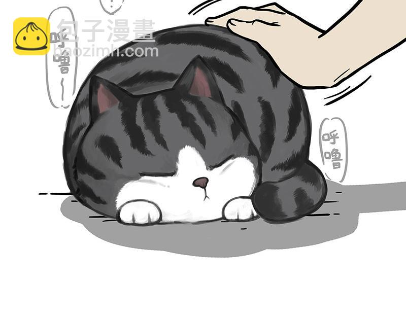 🍘吾皇巴扎黑 第369话 老天爷的答案 第7页