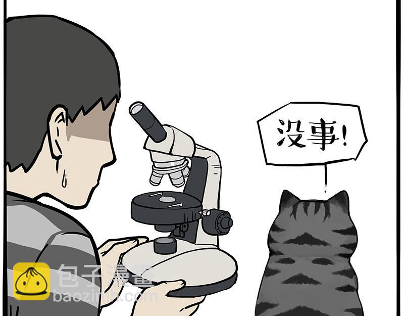 🍘吾皇巴扎黑 第371话 不一样的“笑” 第20页