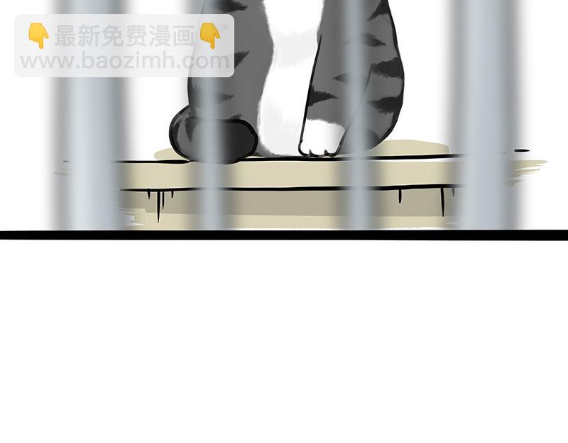 🍘吾皇巴扎黑 第373话 都是因为爱 第12页