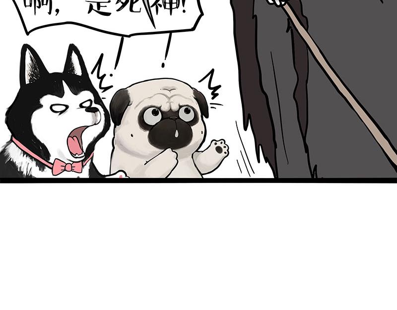 🍘吾皇巴扎黑 第373话 都是因为爱 第24页
