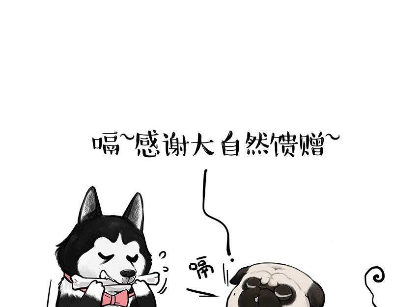 🍘吾皇巴扎黑 第373话 都是因为爱 第25页