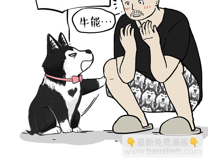 🍘吾皇巴扎黑 第373话 都是因为爱 第3页