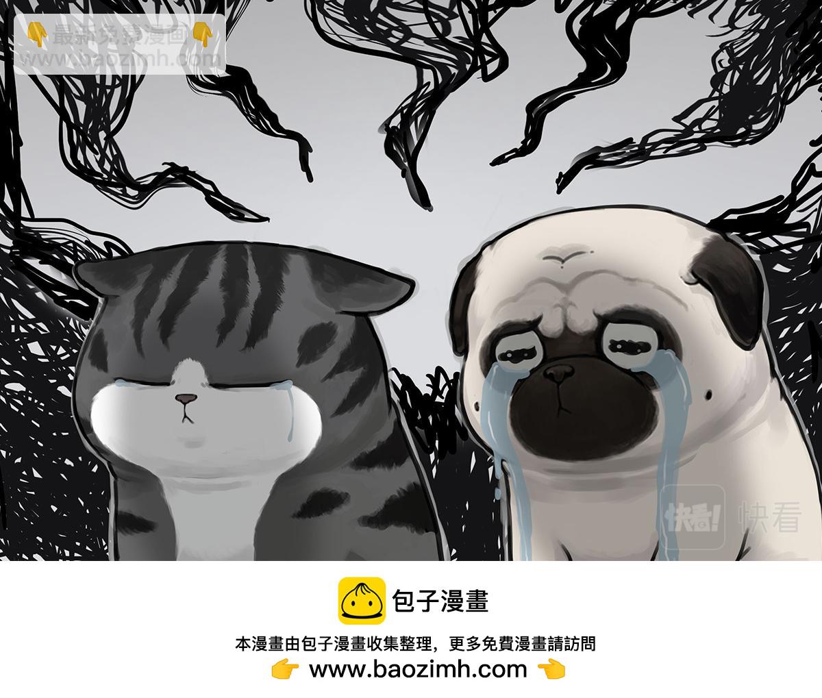 🍘吾皇巴扎黑 第373话 都是因为爱 第39页