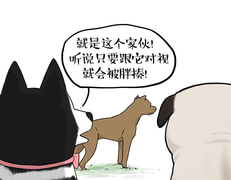 🍘吾皇巴扎黑 第375话 偶遇恶犬 第1页