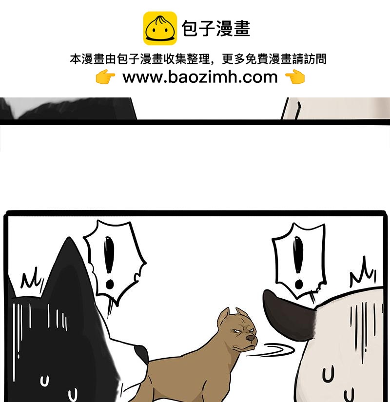 🍘吾皇巴扎黑 第375话 偶遇恶犬 第2页