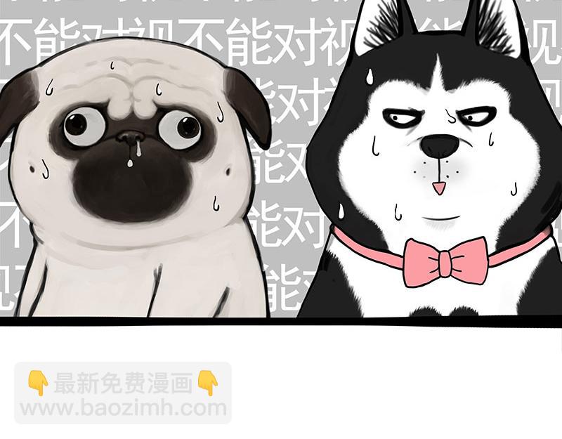 🍘吾皇巴扎黑 第375话 偶遇恶犬 第4页