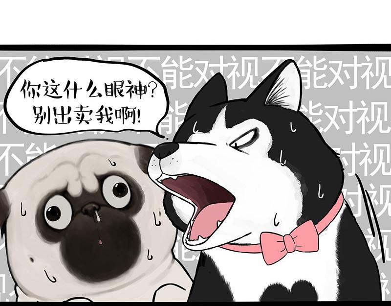 🍘吾皇巴扎黑 第375话 偶遇恶犬 第5页