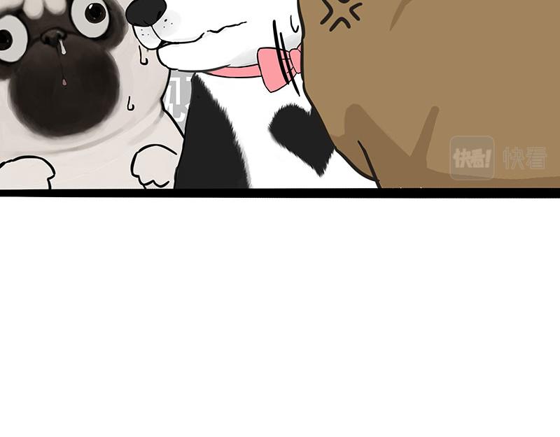 🍘吾皇巴扎黑 第375话 偶遇恶犬 第7页