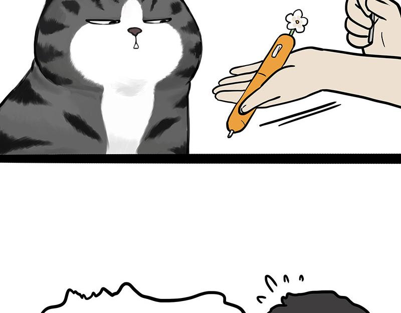 🍘吾皇巴扎黑 第377话 谢谢小猫咪 第12页
