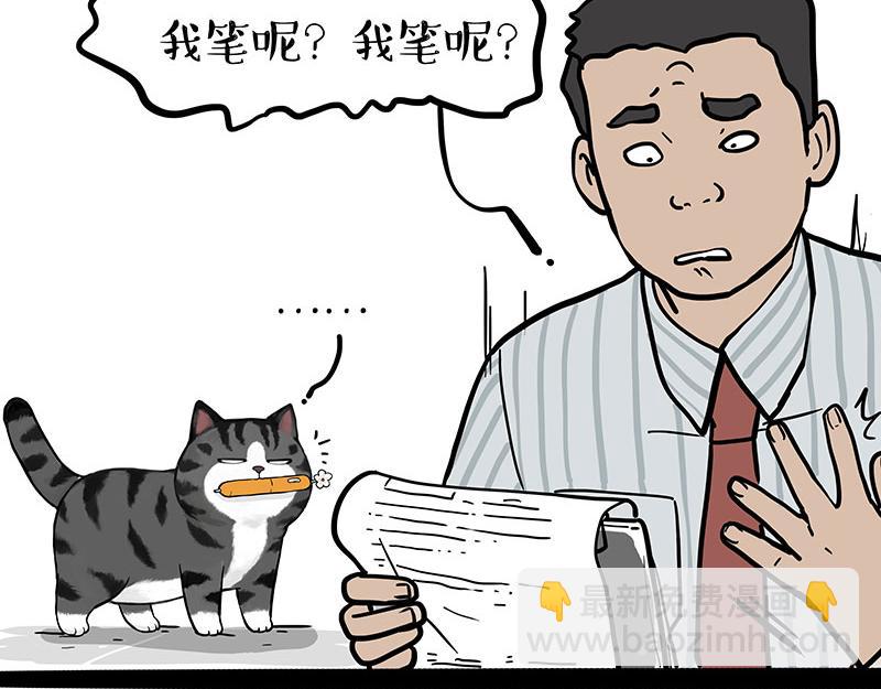 🍘吾皇巴扎黑 第377话 谢谢小猫咪 第13页