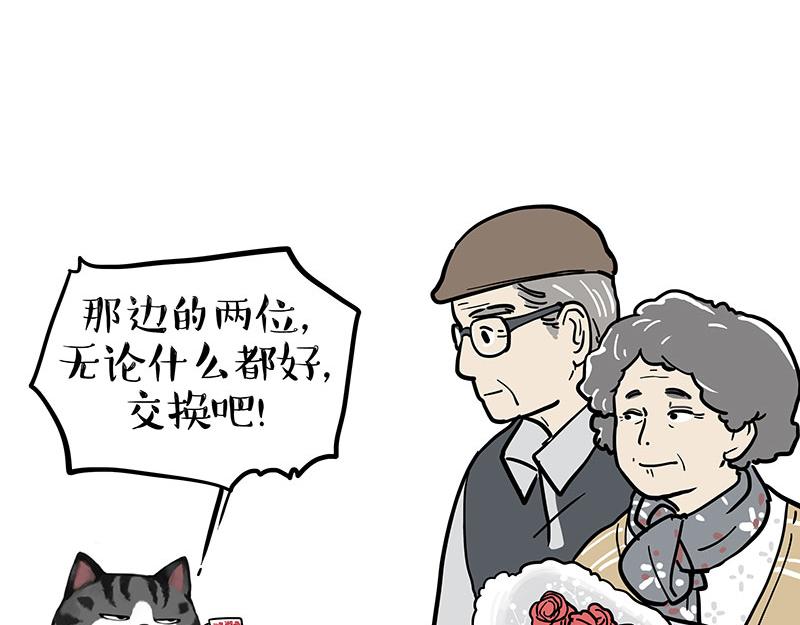 🍘吾皇巴扎黑 第377话 谢谢小猫咪 第17页