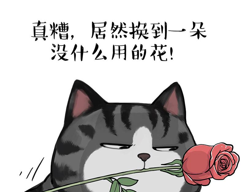 🍘吾皇巴扎黑 第377话 谢谢小猫咪 第19页