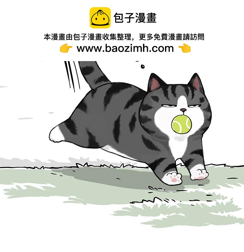 🍘吾皇巴扎黑 第377话 谢谢小猫咪 第2页