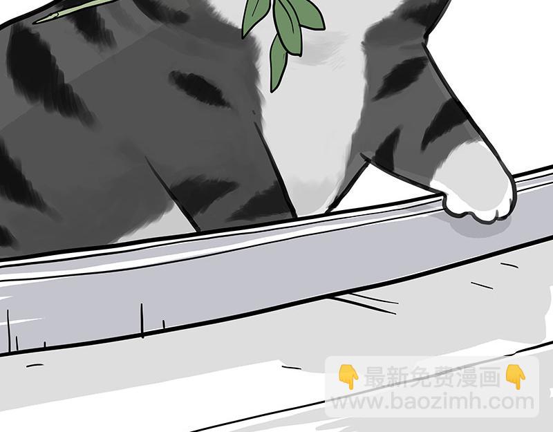 🍘吾皇巴扎黑 第377话 谢谢小猫咪 第20页