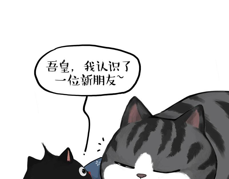 🍘吾皇巴扎黑 第377话 谢谢小猫咪 第24页