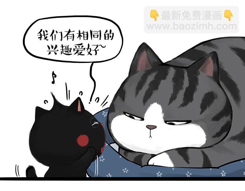 🍘吾皇巴扎黑 第377话 谢谢小猫咪 第26页