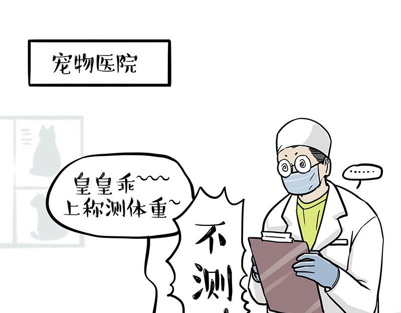 🍘吾皇巴扎黑 第377话 谢谢小猫咪 第30页