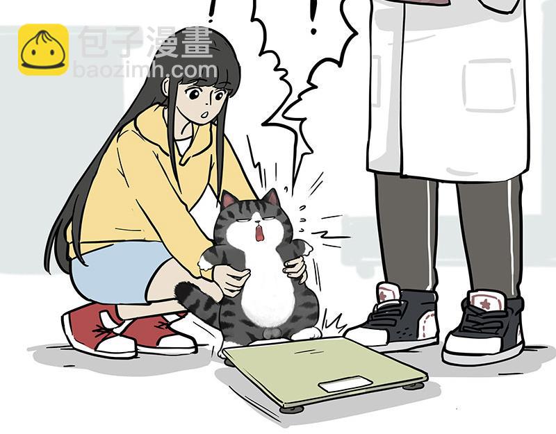 🍘吾皇巴扎黑 第377话 谢谢小猫咪 第31页