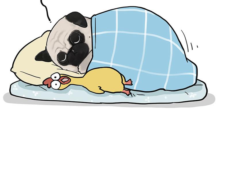 🍘吾皇巴扎黑 第377话 谢谢小猫咪 第39页
