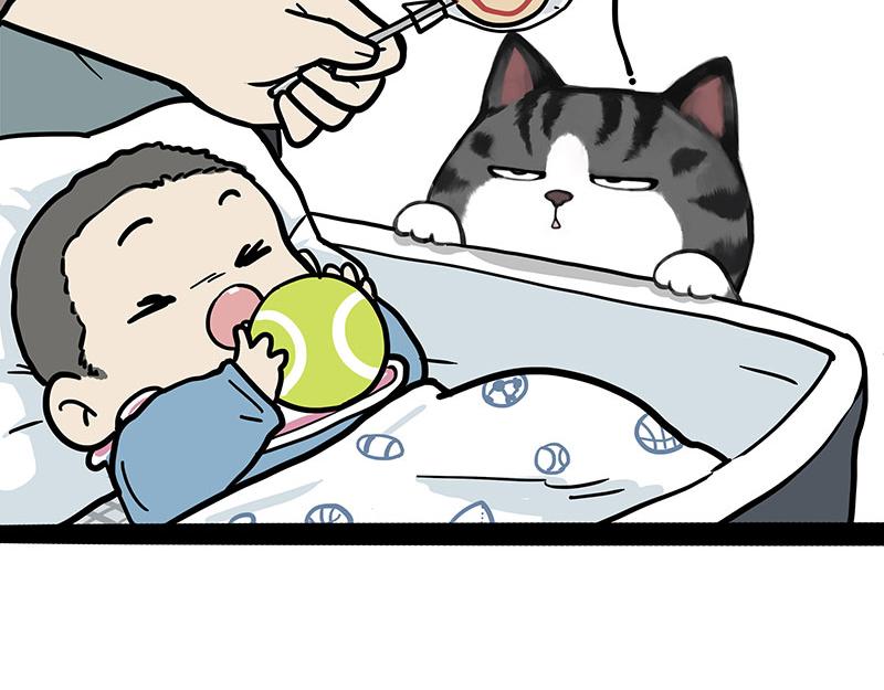 🍘吾皇巴扎黑 第377话 谢谢小猫咪 第7页