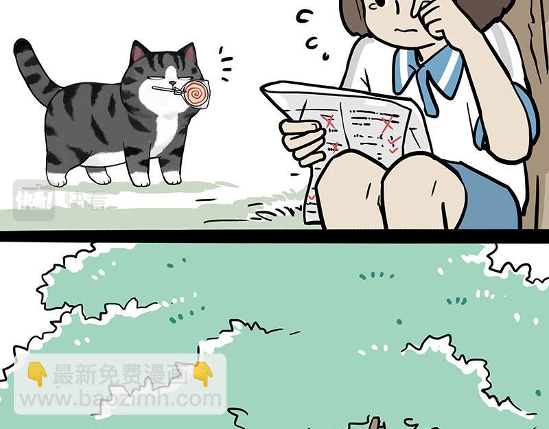 🍘吾皇巴扎黑 第377话 谢谢小猫咪 第9页