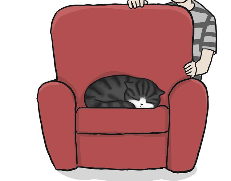 🍘吾皇巴扎黑 第39话 现在的猫狗戏比人都多 第14页