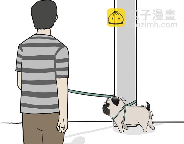 🍘吾皇巴扎黑 第39话 现在的猫狗戏比人都多 第23页