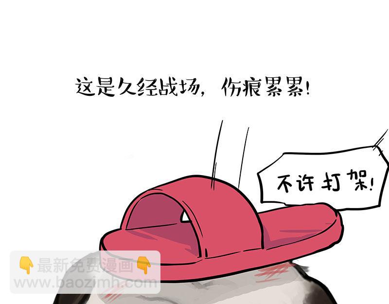 🍘吾皇巴扎黑 第381话 “生物钟” 第22页