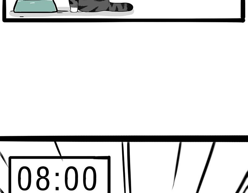 🍘吾皇巴扎黑 第381话 “生物钟” 第38页