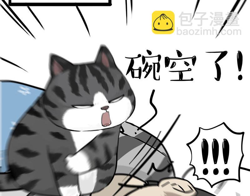 🍘吾皇巴扎黑 第381话 “生物钟” 第39页