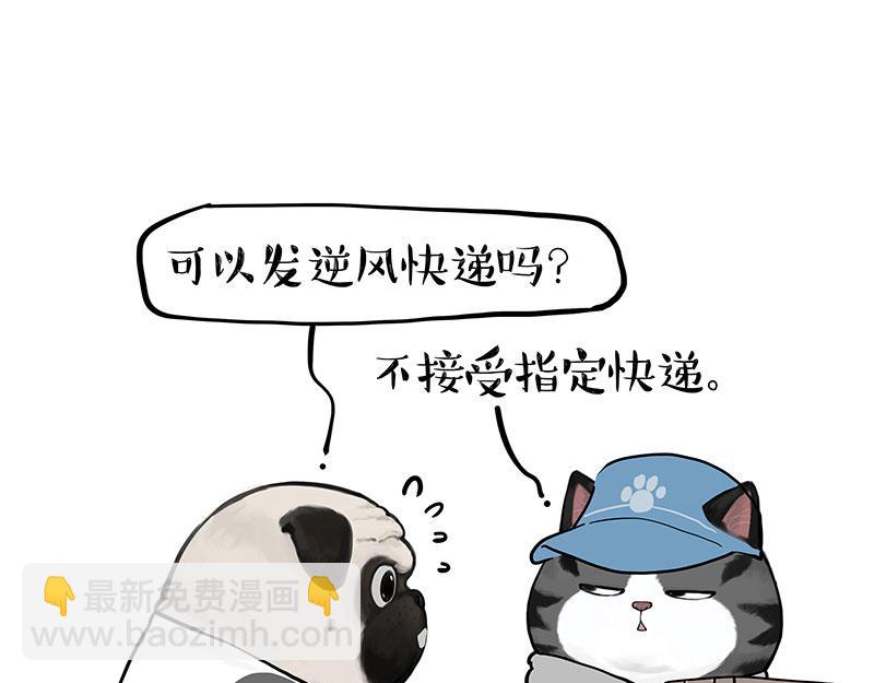 🍘吾皇巴扎黑 第383话 苦夏 第29页