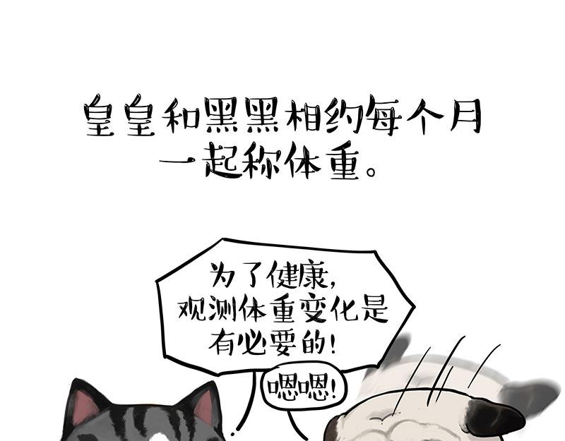🍘吾皇巴扎黑 第383话 苦夏 第35页