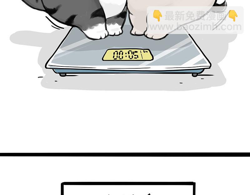 🍘吾皇巴扎黑 第383话 苦夏 第38页