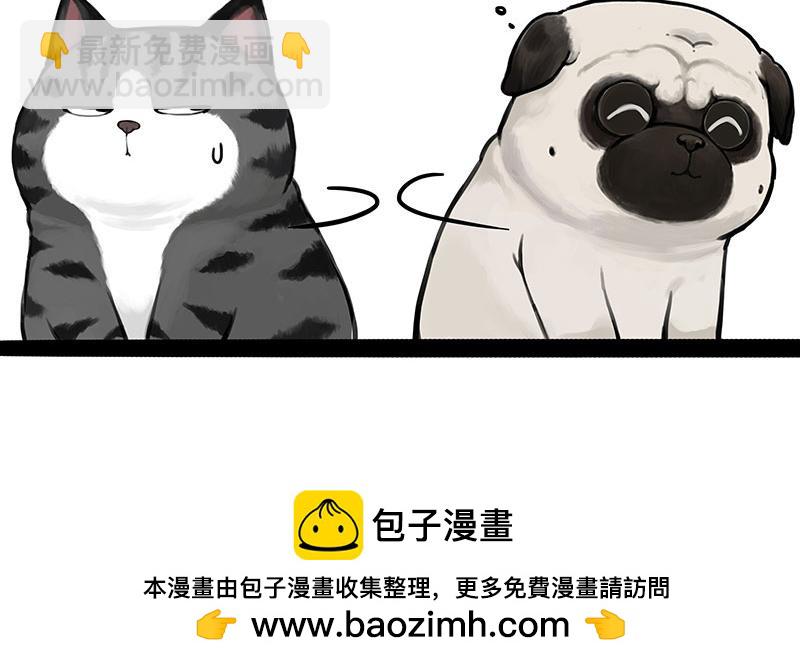🍘吾皇巴扎黑 第383话 苦夏 第42页