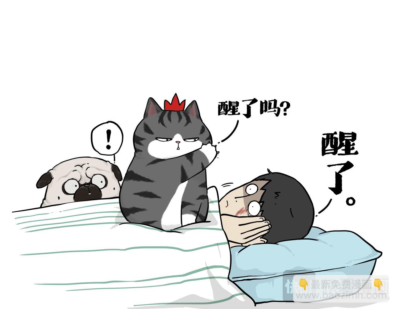 🍘吾皇巴扎黑 第387话 “凶猛”动物 第33页