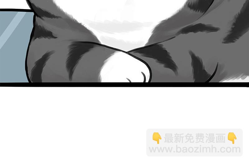 🍘吾皇巴扎黑 第387话 “凶猛”动物 第41页